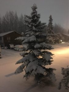 Anchorage, AK Snowfall